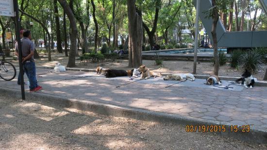 Parque España